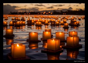 14281045655_b76afd80c4_b